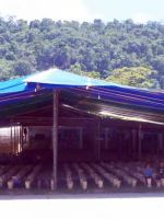 thumbs_banco-movil-rec-1