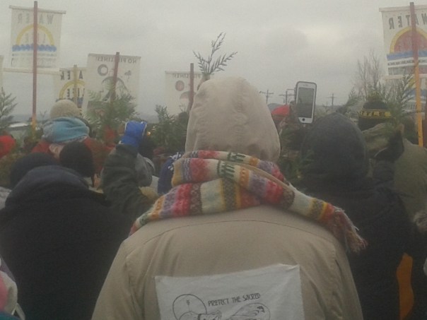 Water protectors are seen from behind, carrying cedar leaves and banners peacefully.