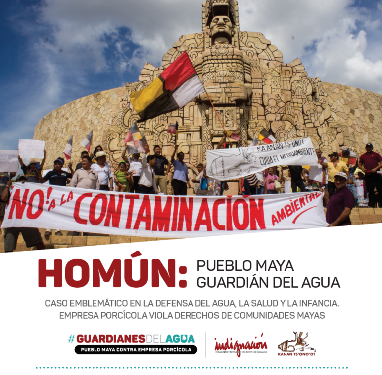 Homun-dossier-portada-768x755